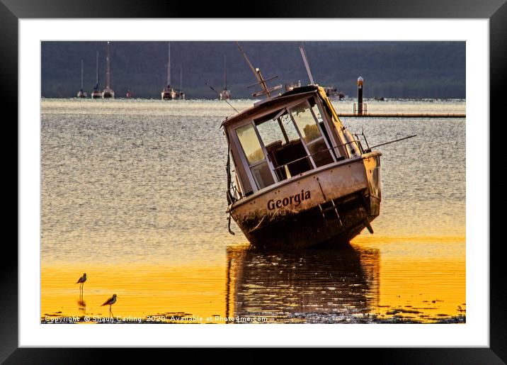 Boats & Birdie Sunrise Framed Mounted Print by Shaun Carling