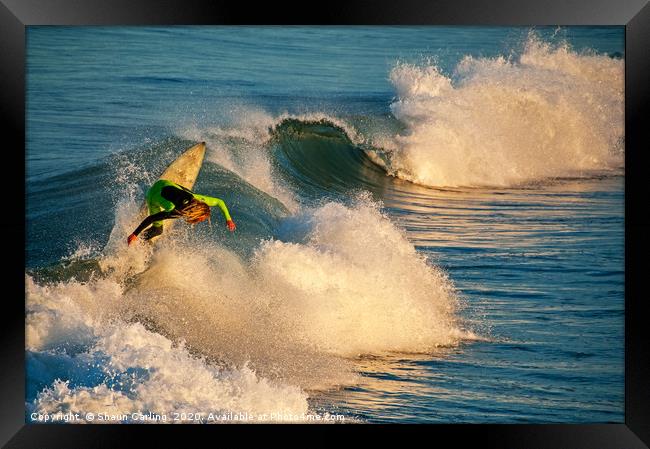 Aussie Surfer Framed Print by Shaun Carling