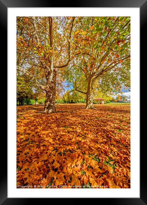 Glen Innes In Autumn Framed Mounted Print by Shaun Carling