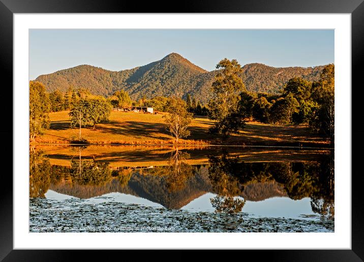 Samford Lakes, Near Brisbane Framed Mounted Print by Shaun Carling