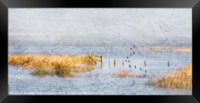 Flood on the Marsh Framed Print by Eileen Wilkinson ARPS EFIAP