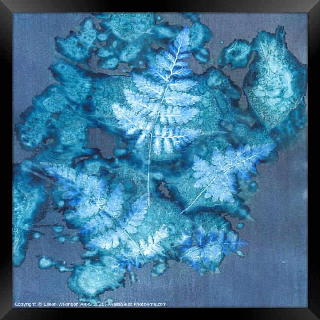 Blue Ferns Framed Print by Eileen Wilkinson ARPS EFIAP