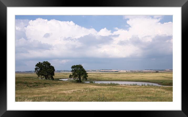 Elmley Nature Reserve Framed Mounted Print by Eileen Wilkinson ARPS EFIAP