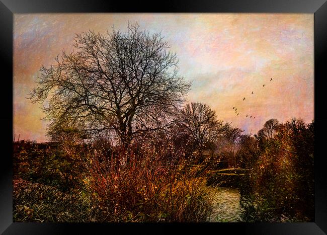 At the end of the day Framed Print by Eileen Wilkinson ARPS EFIAP