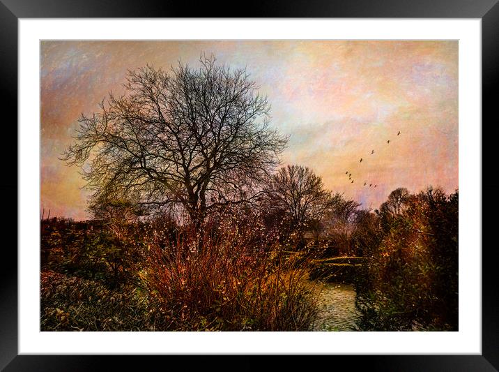 At the end of the day Framed Mounted Print by Eileen Wilkinson ARPS EFIAP