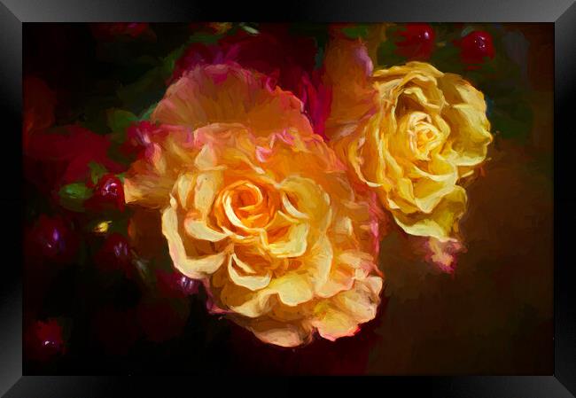 Painterly Roses Framed Print by Eileen Wilkinson ARPS EFIAP