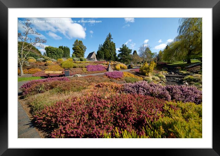 The Heather Collection, Rodney Gardens, Perth Framed Mounted Print by Navin Mistry
