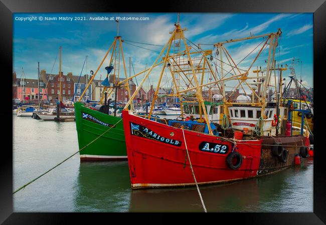 Colourful Fishing Boats of Arbroath, Scotland  Framed Print by Navin Mistry