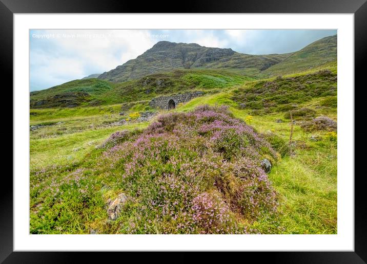 Heather Moorland West Highland Way Framed Mounted Print by Navin Mistry