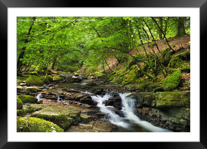 Falls of Moness, The Birks of Aberfeldy Framed Mounted Print by Navin Mistry