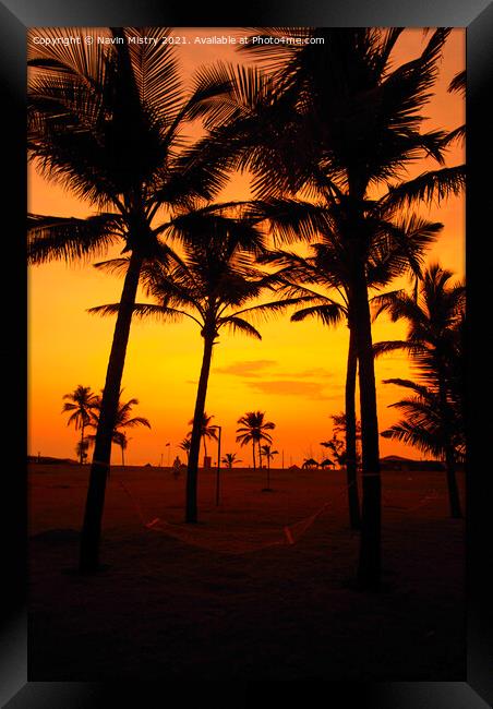 Sunset and Palm Trees, Benhaulim, South Goa, India Framed Print by Navin Mistry