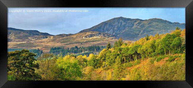 A view of Ben Vrackie in the Autumn Framed Print by Navin Mistry