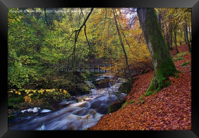 Footbridge over the Moness Burn, Birks of Aberfeldy Framed Print by Navin Mistry