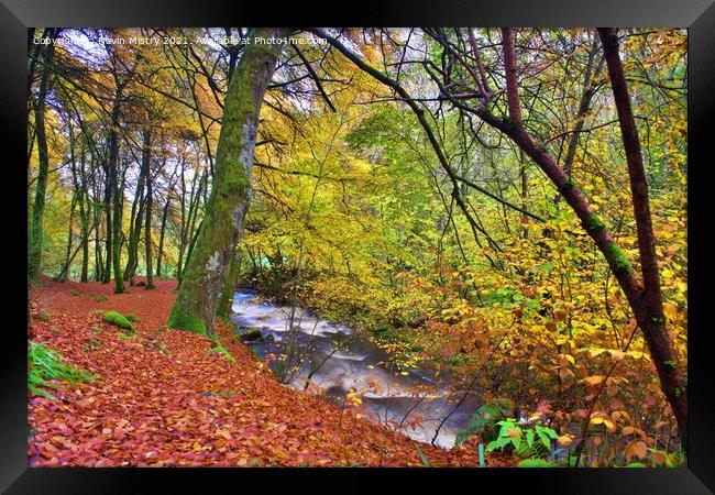A view of the Birks of Aberfeldy in Autumn Framed Print by Navin Mistry
