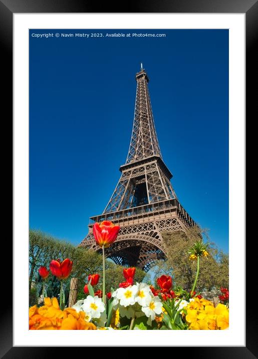 Spring Flowers and the Eiffel Tower Framed Mounted Print by Navin Mistry