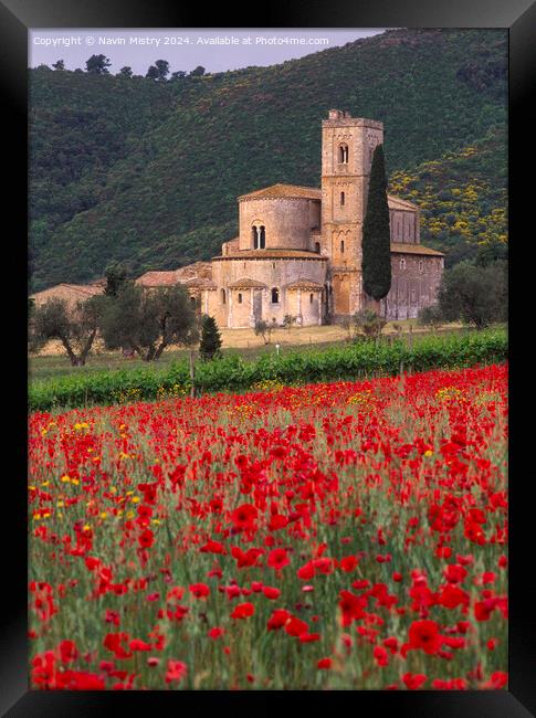 Abbey of Sant'Antimo, Tuscany, Italy Framed Print by Navin Mistry