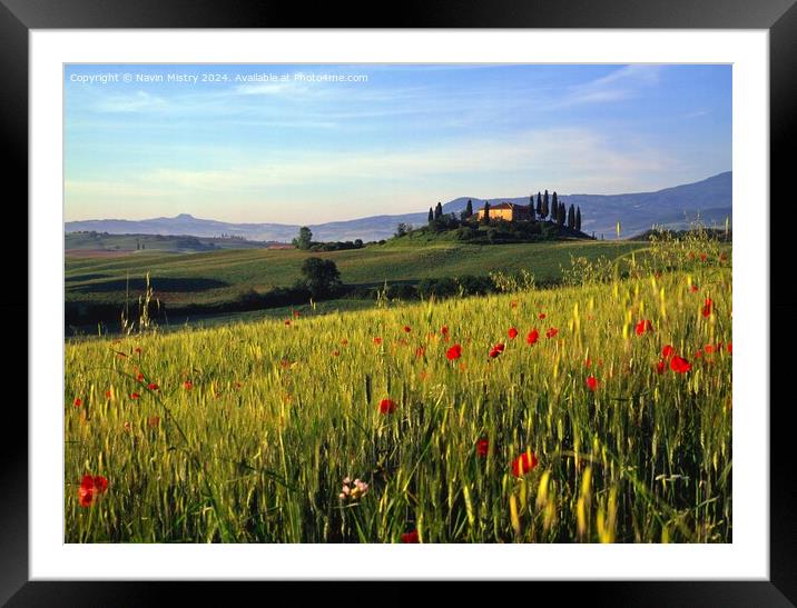 A Tuscan Farm House and Poppies, Val D'Orcia, Ital Framed Mounted Print by Navin Mistry