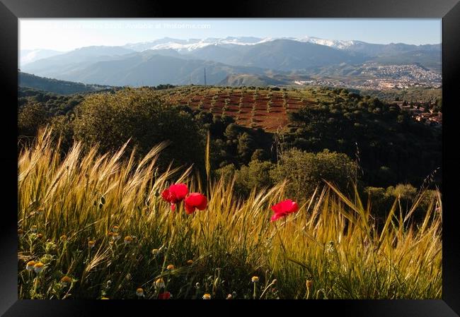 Granada Landscape Framed Print by Navin Mistry