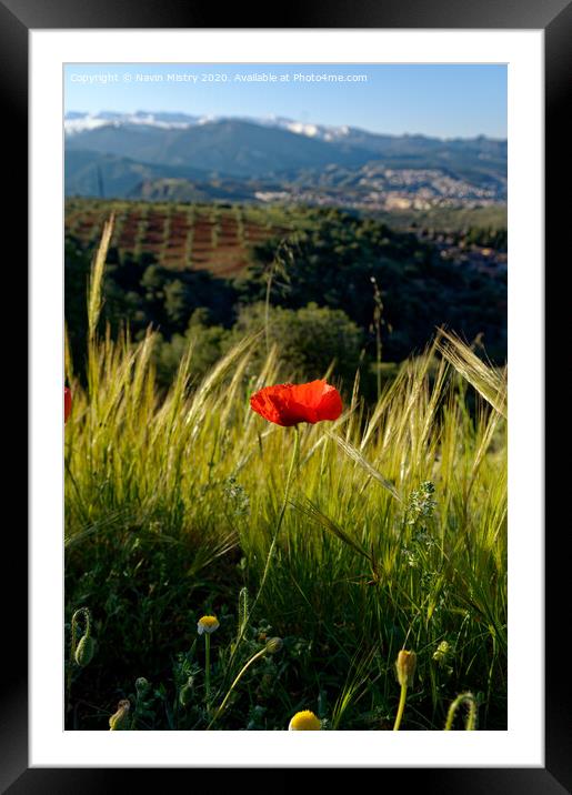 Outdoor field Framed Mounted Print by Navin Mistry