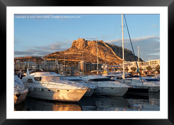 The Marina, Alicante, Spain  Framed Mounted Print by Navin Mistry