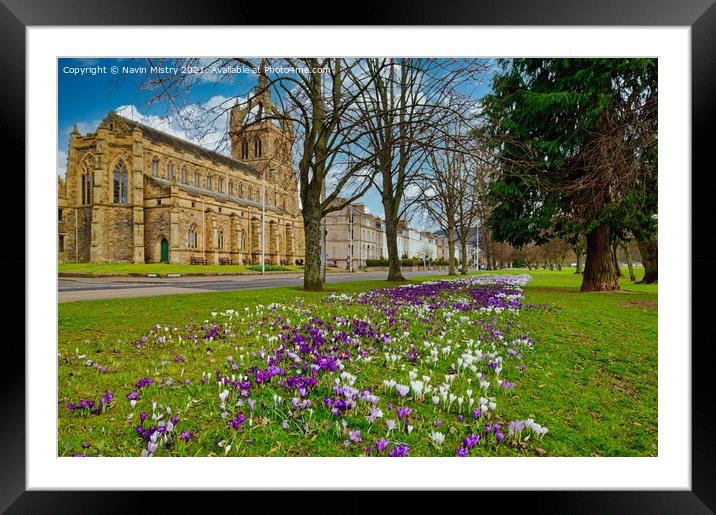 The South Inch, Perth, Scotland seen in springtime Framed Mounted Print by Navin Mistry