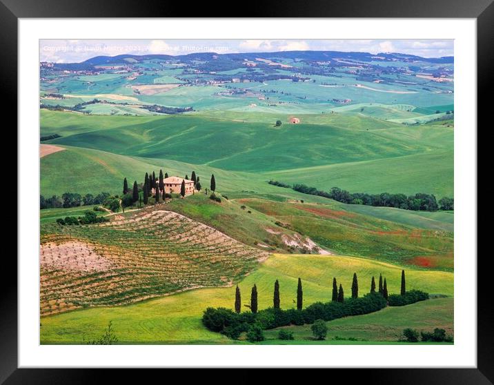A Farmhouse  and rolling green fields, Val D'Orcia, Tuscany, Italy Framed Mounted Print by Navin Mistry