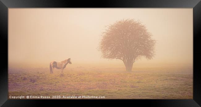 Horse and tree in the early morning mist Framed Print by Emma Russo