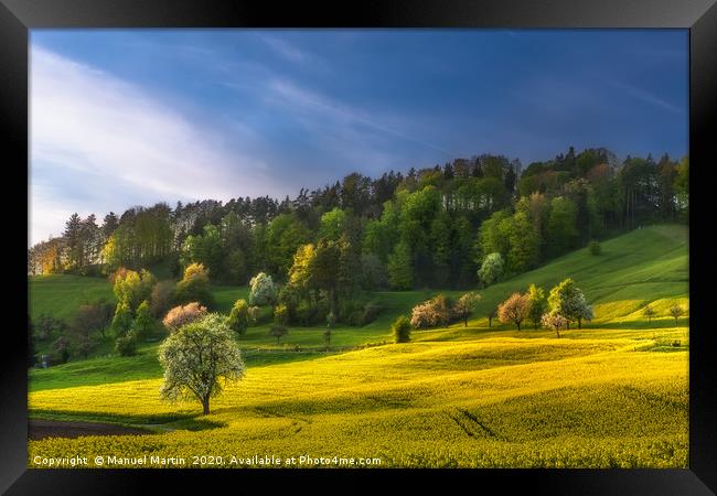 Spring Evening Fun Framed Print by Manuel Martin