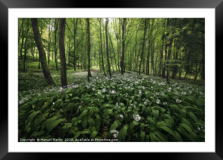 Field of beauty Framed Mounted Print by Manuel Martin