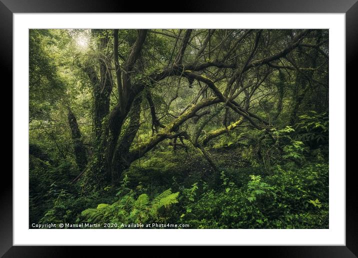The Green Pearl Framed Mounted Print by Manuel Martin