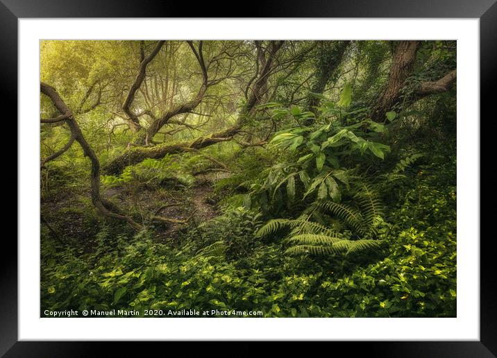 Forgotten Paradise Framed Mounted Print by Manuel Martin