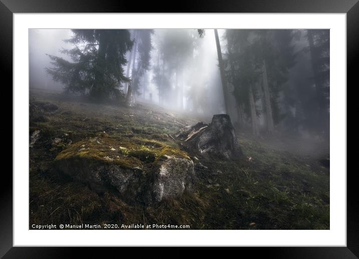 Foggy Forest in the Swiss Alps Framed Mounted Print by Manuel Martin