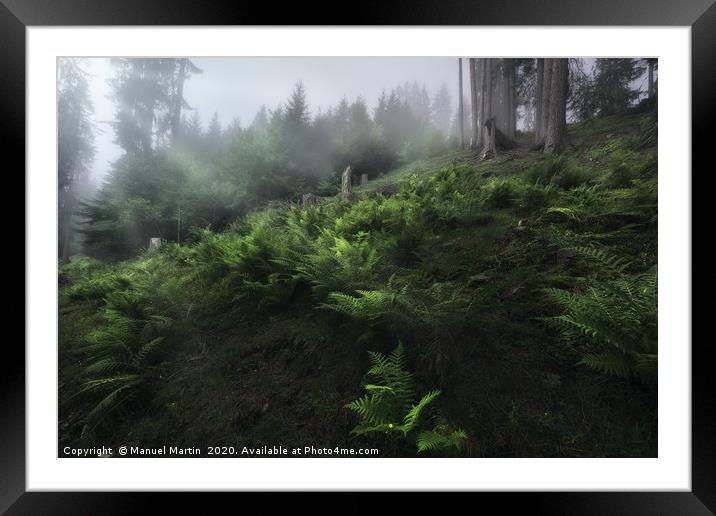 Fairy Forest Framed Mounted Print by Manuel Martin