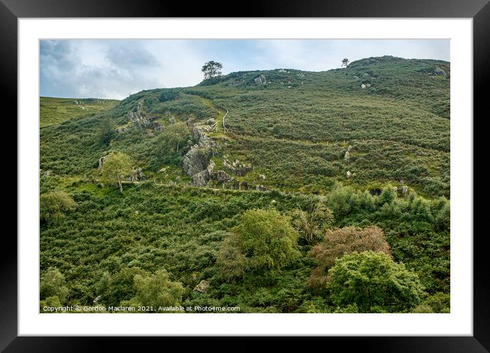 Hillside, Elan Valley, Powys, Wales Framed Mounted Print by Gordon Maclaren