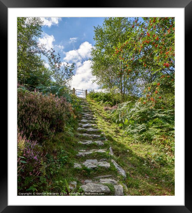 Rocky path Elan Valley Wales Framed Mounted Print by Gordon Maclaren