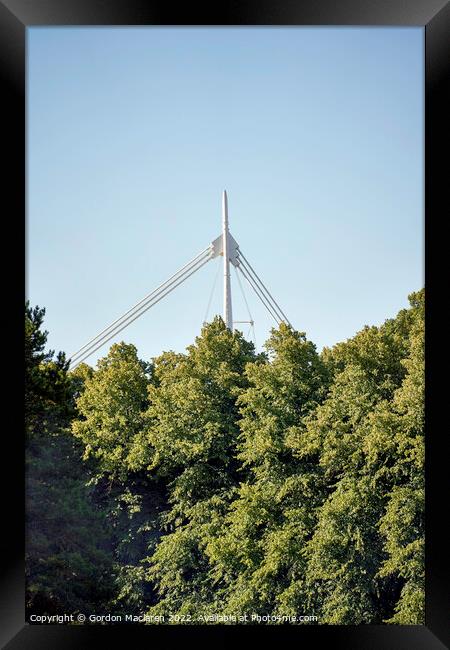 Bute Park and the Principality Stadium Framed Print by Gordon Maclaren