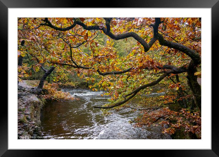 Autumn on the Afon Pyrddin, Pontneddfechan Framed Mounted Print by Gordon Maclaren