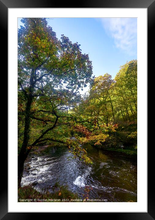 Autumn, Afon Pyrddin, Pontneddfechan, Neath, South Wales Framed Mounted Print by Gordon Maclaren