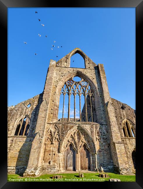 When Doves Fly, Tintern Abbey Framed Print by Gordon Maclaren