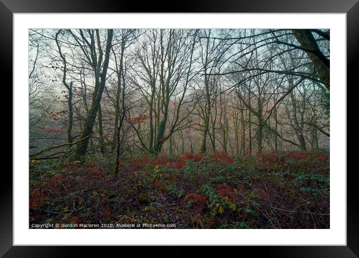 Misty Woodland Framed Mounted Print by Gordon Maclaren