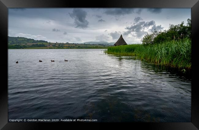 Ducks on Llangorse Lake Framed Print by Gordon Maclaren