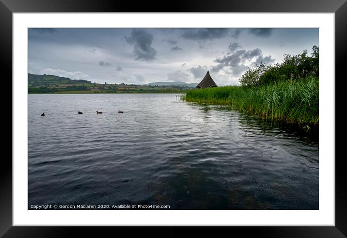 Ducks on Llangorse Lake Framed Mounted Print by Gordon Maclaren
