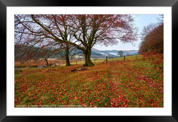Autumn on the banks of Talybont Reservoir Framed Mounted Print by Gordon Maclaren