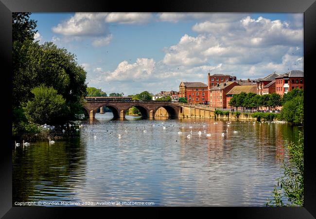 Swans in front of Worcester Bridge Framed Print by Gordon Maclaren