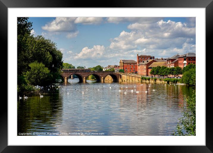 Swans in front of Worcester Bridge Framed Mounted Print by Gordon Maclaren