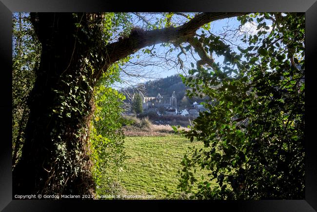 Tintern Abbey through the trees Framed Print by Gordon Maclaren