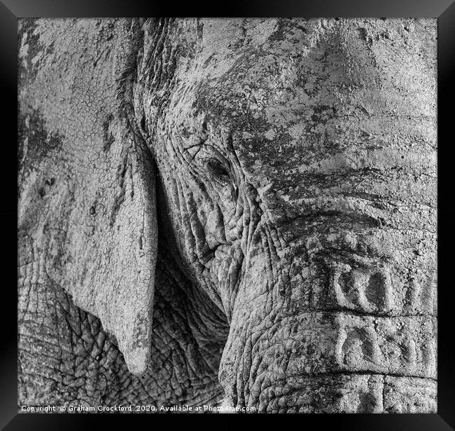 Elephant eye Framed Print by Graham Crockford