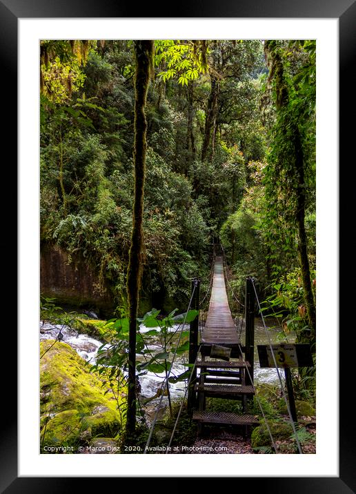 Rainforest trails Framed Mounted Print by Marco Diaz