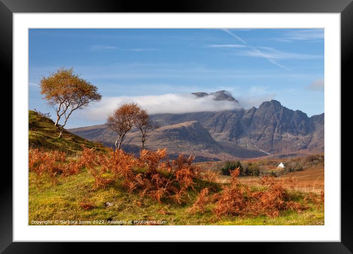 Blaven Birches in Autumn, Isle of Skye Scotland Framed Mounted Print by Barbara Jones