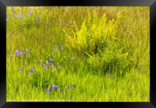 Enchanted Spring Meadow Framed Print by Barbara Jones
